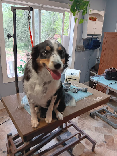 A+ pet spa - Pet Shop in Colorado Springs