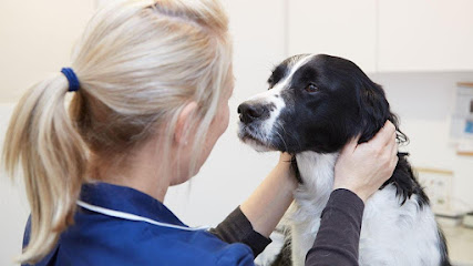 Exonia Veterinary Emergency Service