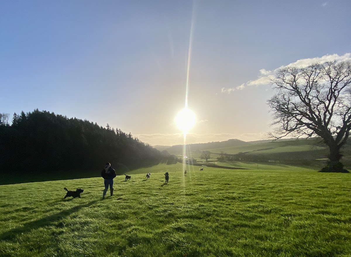 Robyn's k9 Rambles - Photo 3