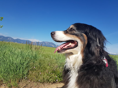 Superior Pet Services - Pet Shop in Colorado Springs