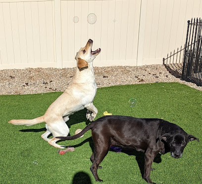 Mile High Pawz LLC - Pet Shop in Colorado Springs