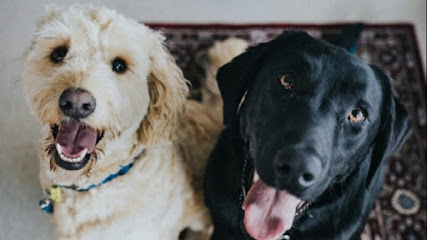 Meemah and Bone Pet Sitting - Pet Shop in Colorado Springs
