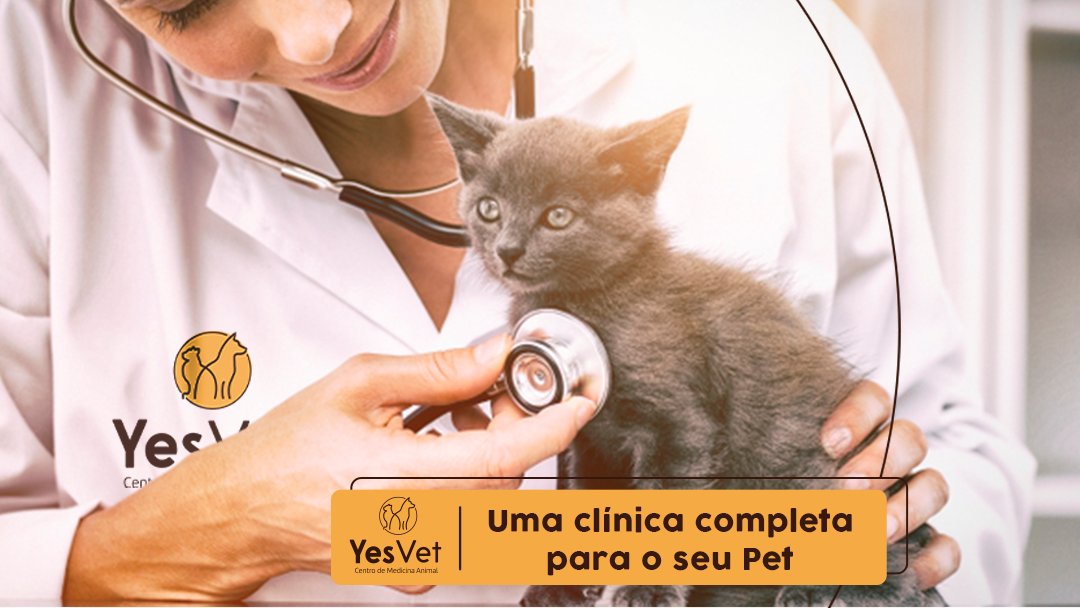 Provet-Clínica Veterinária e Pet Shop