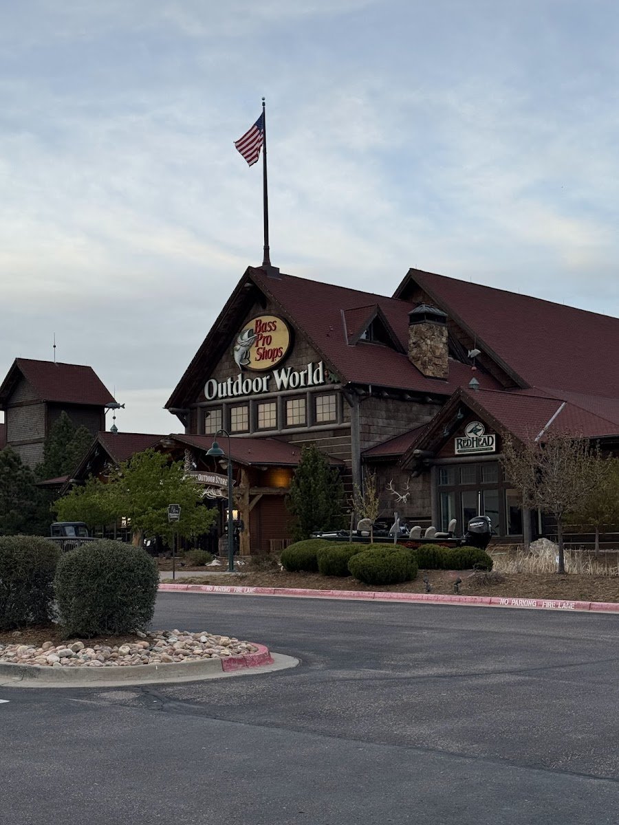 Bass Pro Shops - Photo 2