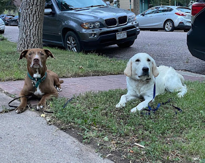 Canine Insight LLC