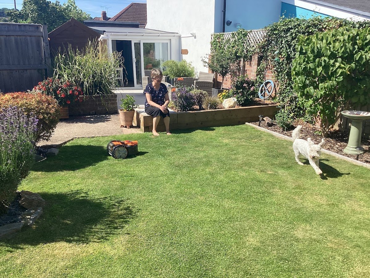 St Thomas Dog Boarding - Photo 2