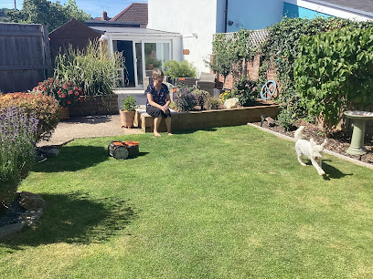 St Thomas Dog Boarding