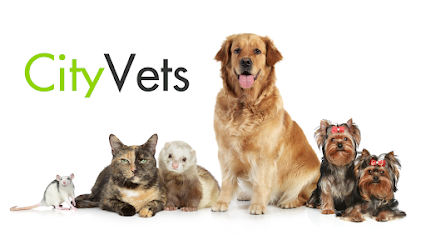 City Vets in Alphington