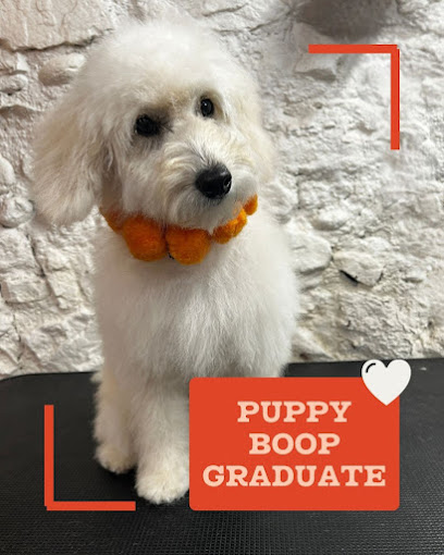 BOOP Dog Grooming