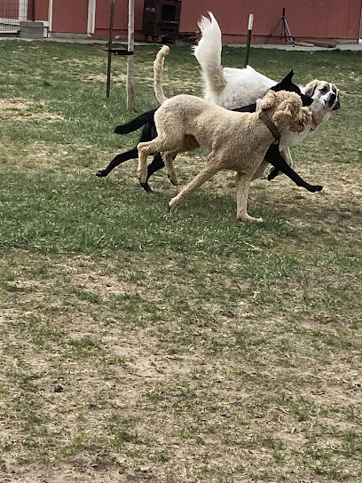 4 Paws Country Kennels LLC