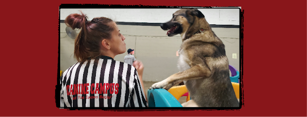 Canine Campus Dog Daycare & Boarding - Pet Shop in Colorado Springs