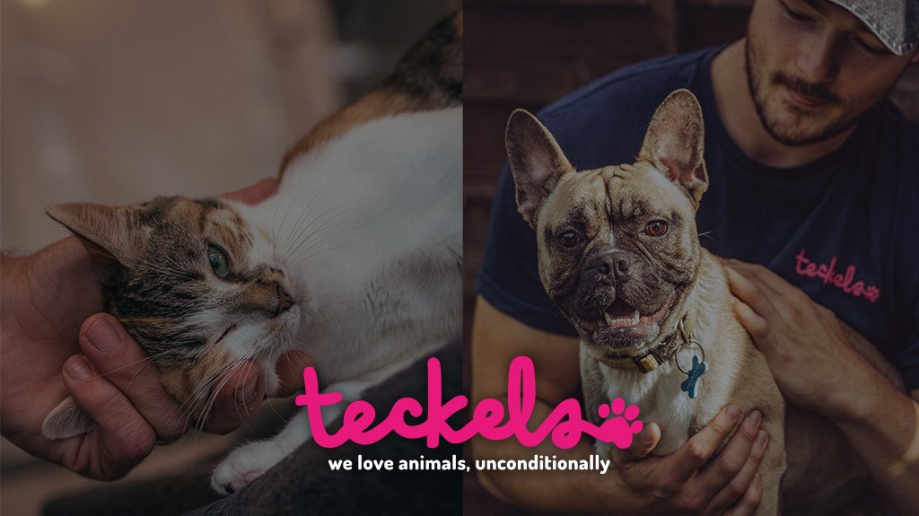 Teckels Animal Sanctuaries and Boarding - Photo 2