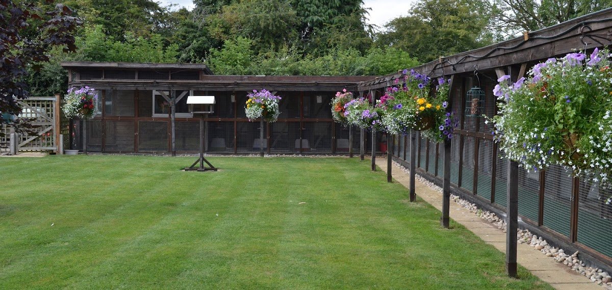Maisemore Cattery - Photo 2