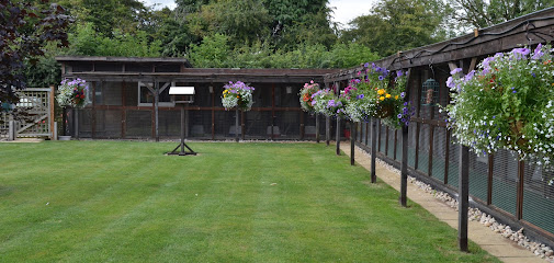 Maisemore Cattery - Pet Shop in Gloucester