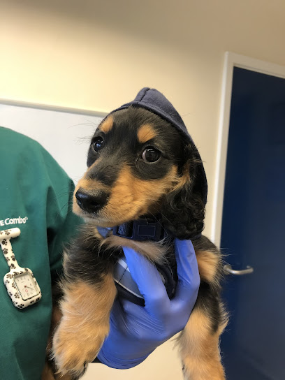 Arvonia Vets Churchdown Veterinary Centre - Pet Shop in Gloucester