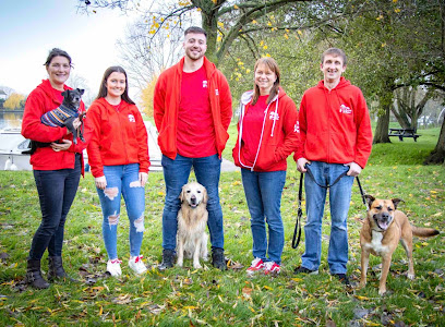 We Love Pets | Cheltenham | Gloucestershire — Dog Walker, Dog Walkers, Dog Walking & Pet Visits - Pet Shop in Gloucester