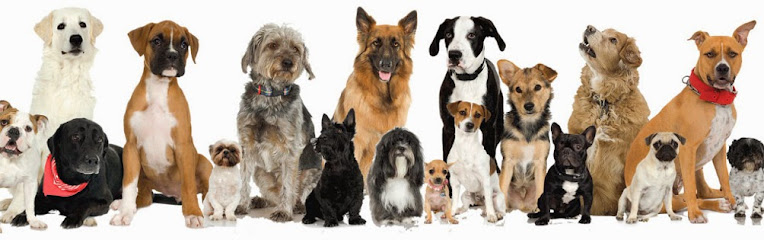 The Groomery , Dog Grooming Salon - Pet Shop in Gloucester