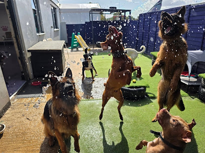 Barkeley Barks Doggy Daycare - Pet Shop in Gloucester