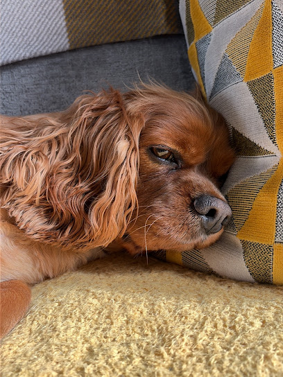 Vets for Pets - Gloucester Quedgeley - Pet Shop in Gloucester