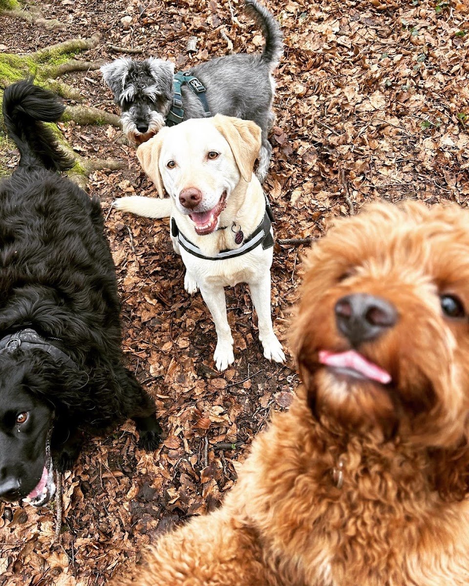 Peggy & Pals - Photo 2