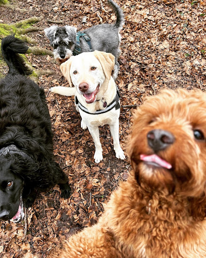 Peggy & Pals - Pet Shop in Gloucester
