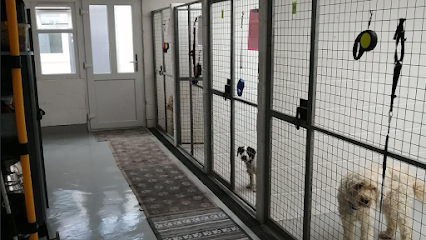 Churchdown Cattery & Kennels - Pet Shop in Gloucester