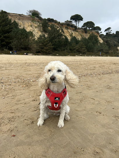 Westlake Veterinary Physiotherapy