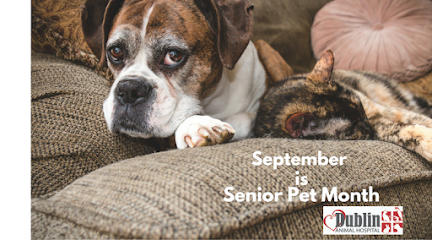 VCA Dublin Animal Hospital