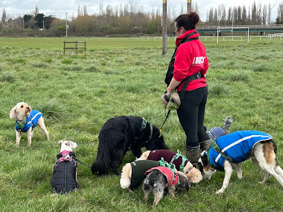 The Woof Pack - Dog Walking/Trainer & Behaviour, Small Pet and Equine Services - Pet Shop in Gloucester