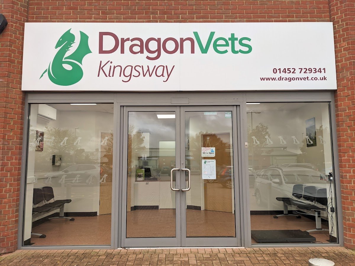 Dragon Vets, Kingsway - Photo 2