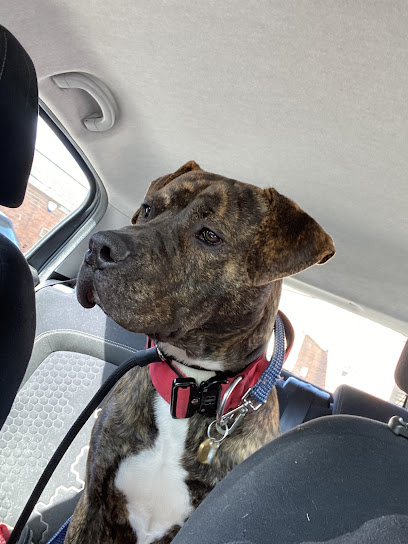 Church Road Veterinary Centre