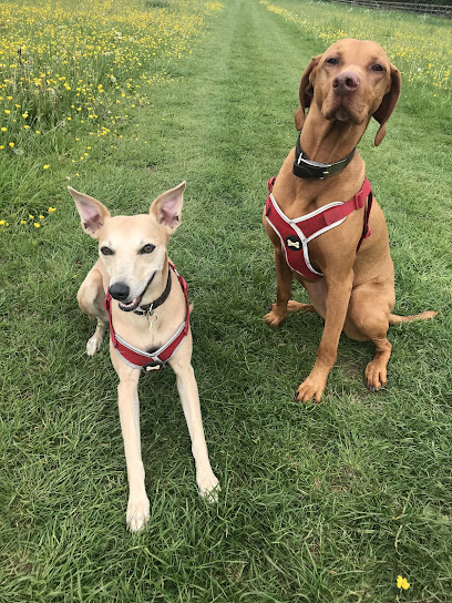 Cotswold Petcare Co. - Pet Shop in Gloucester
