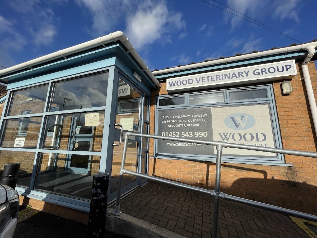 Wood Veterinary Group, Longlevens - Photo 2