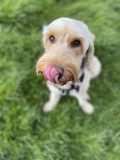 Worcester and Malvern Pet Services - Pet Shop in Gloucester