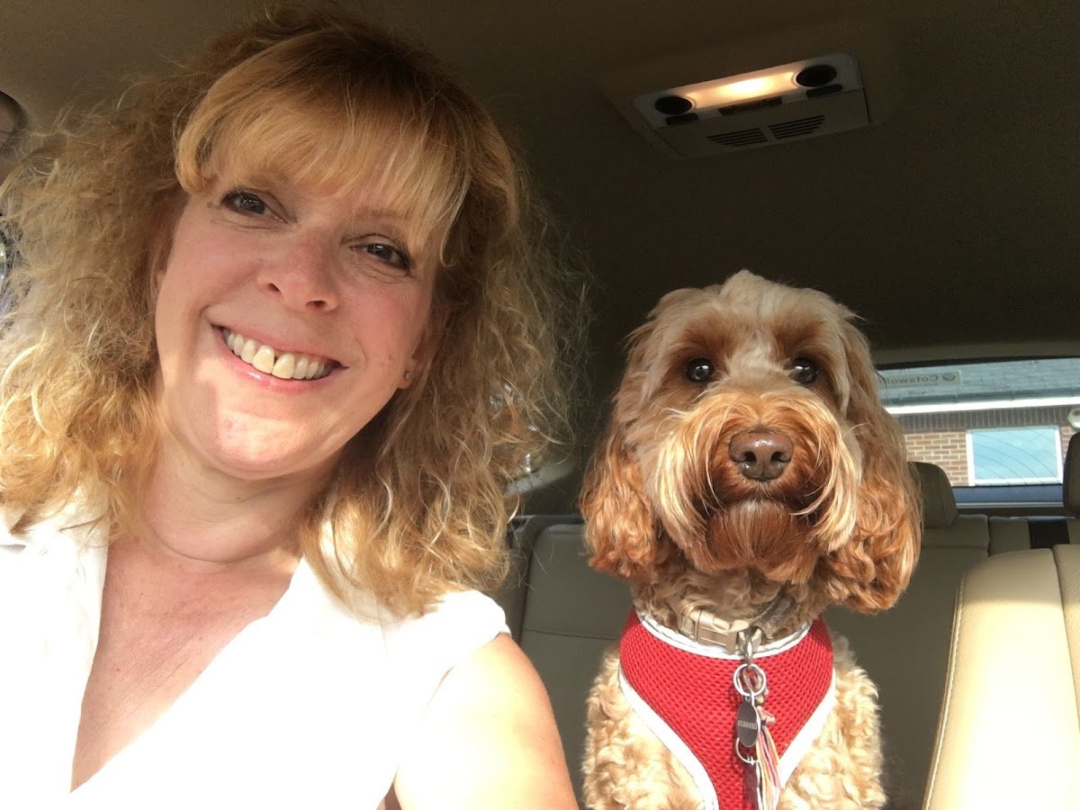 Happy Paws Home Boarding - Photo 2