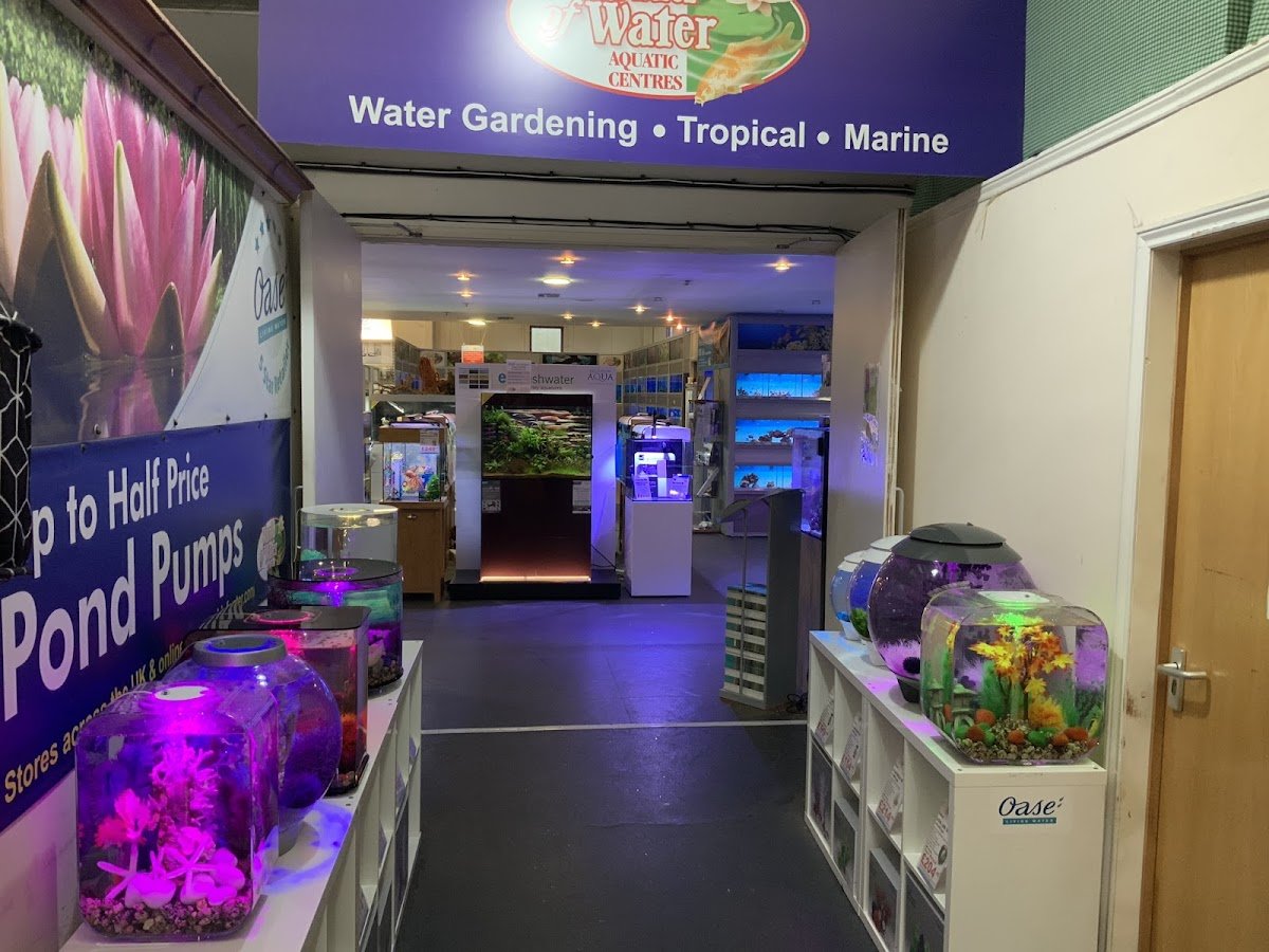 Highfield Garden World - Photo 2
