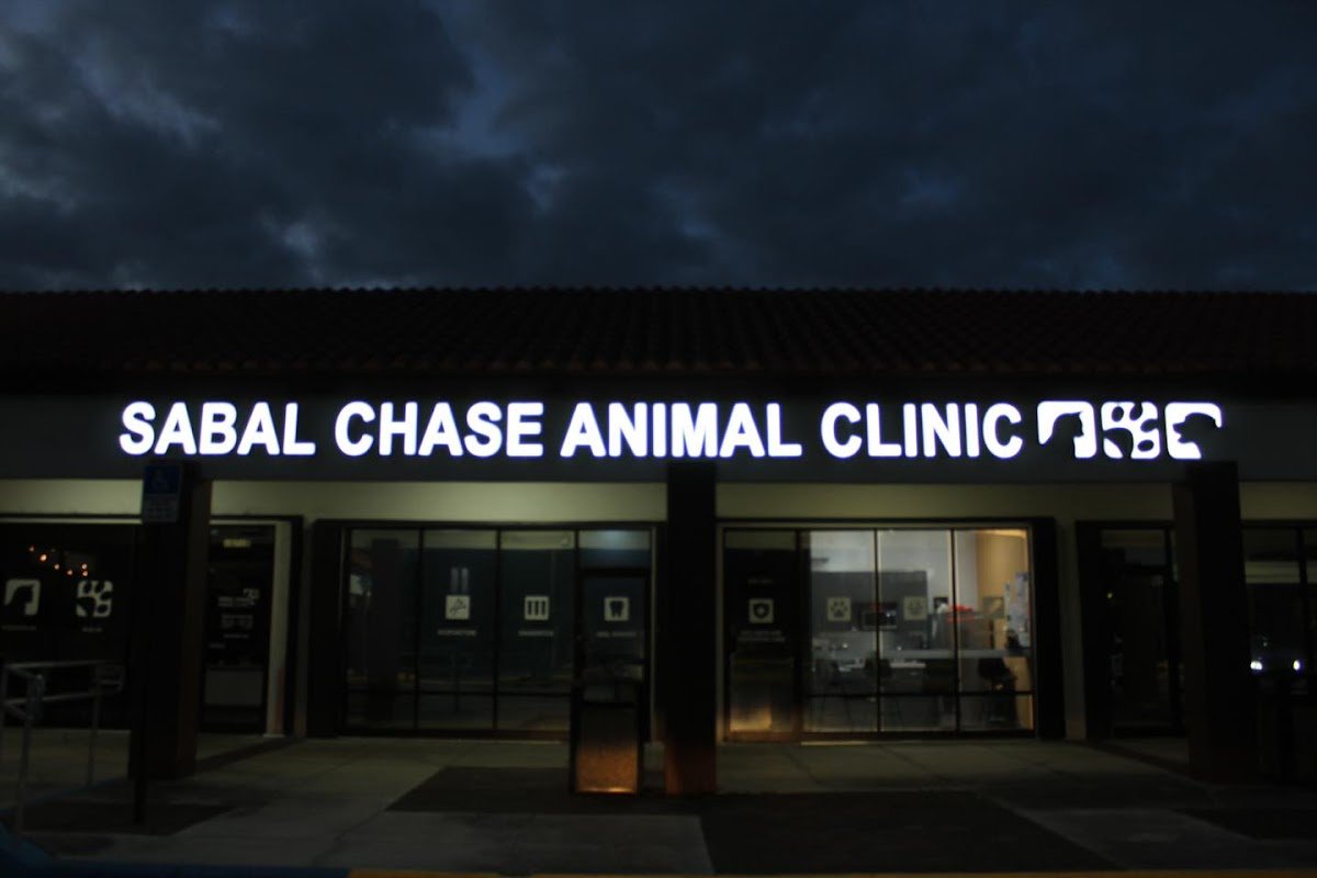 Sabal Chase Animal Clinic - Photo 2