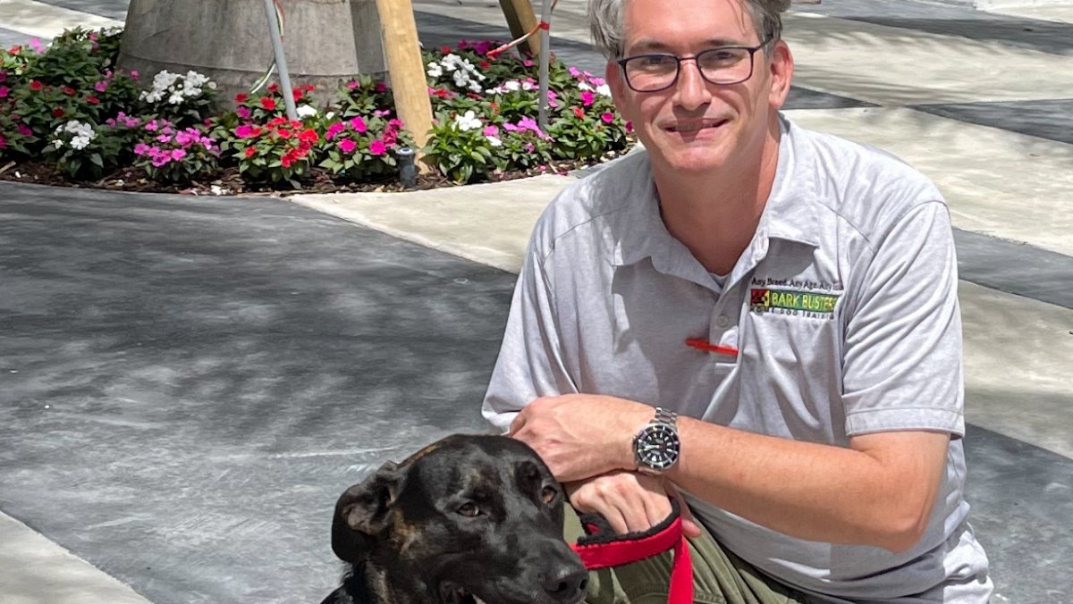 Bark Busters Home Dog Training Miami - Photo 2