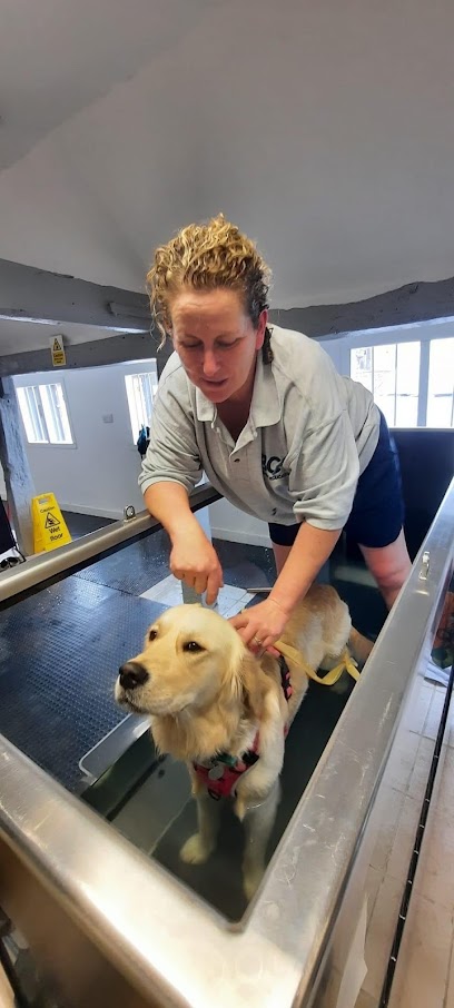 Soulmate Vet Rehab - Pet Shop in Gloucester