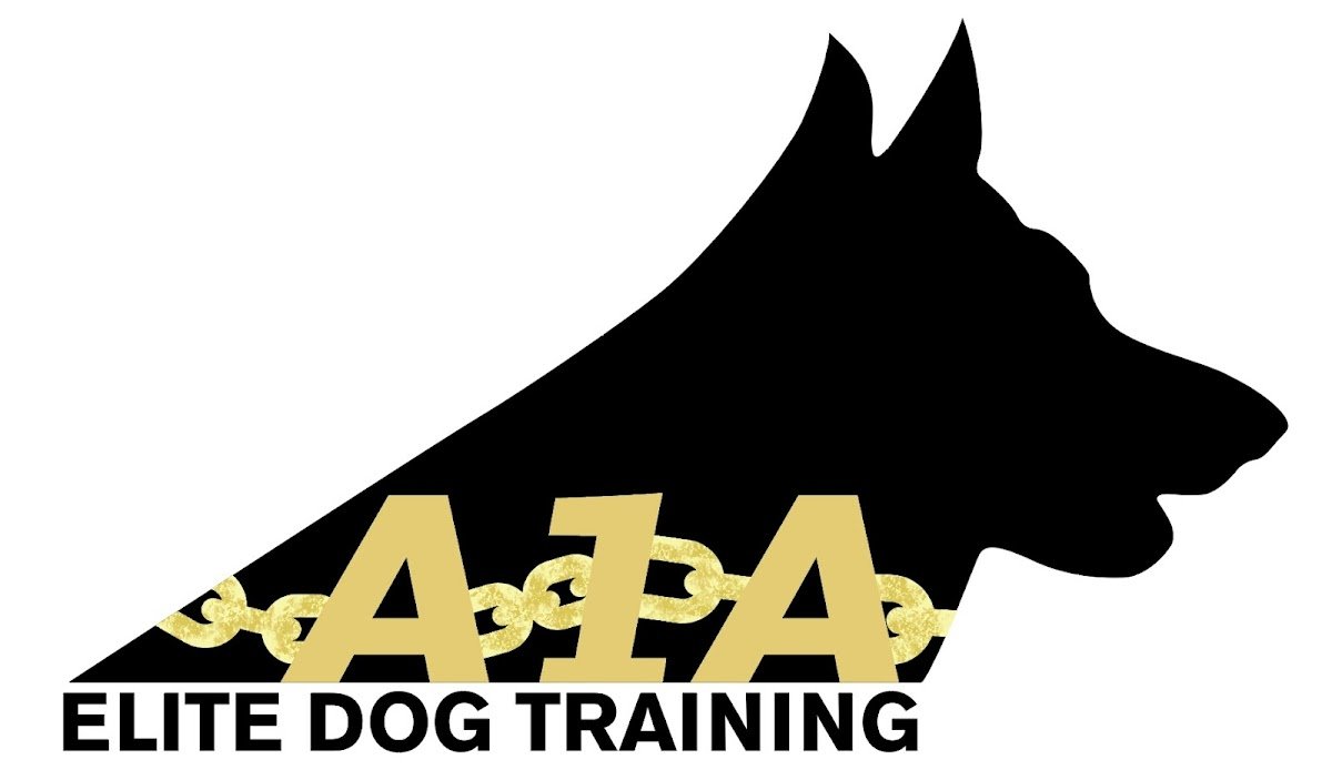 A1A Elite Dog Training - Photo 2