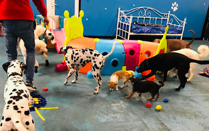 St Mary's Canine Creche