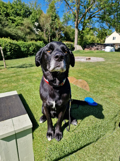 Copdock Kennels & Boarding Cattery