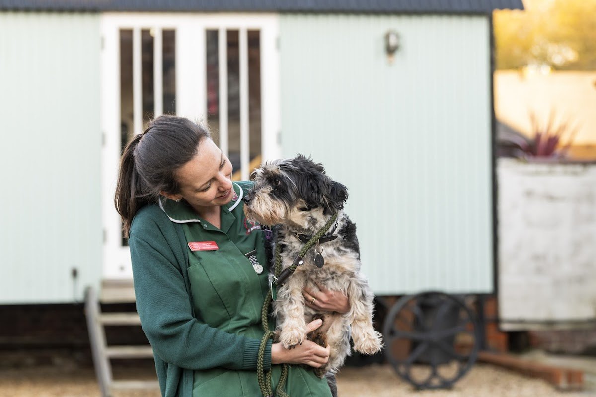 The Barn Veterinary Practice - Photo 2