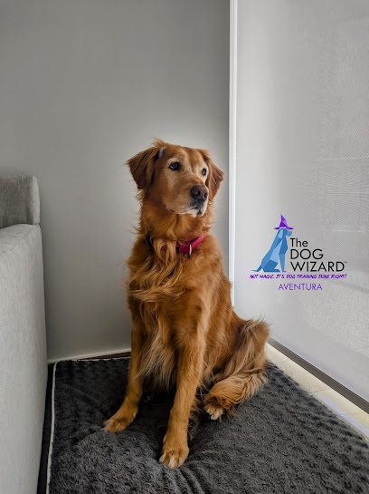 The Dog Wizard - Dog & Puppy Obedience Training Aventura