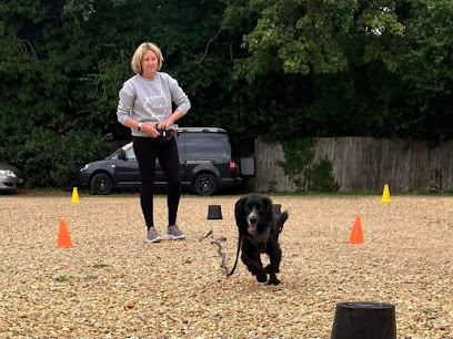 Sarah's Pawsome Dog Retreat and Training
