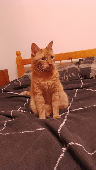 Ipswich & District Animal Welfare Centre