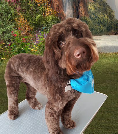 Suffolk Groomers Mobile Dog Groomer