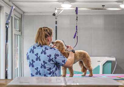 Wags and Wiggles Grooming Ltd