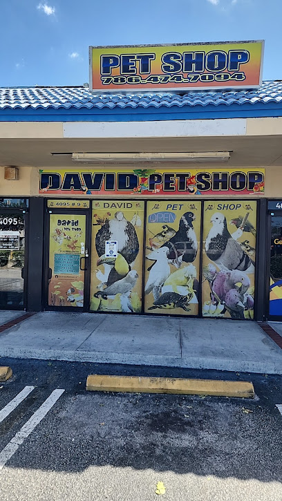 David Pet Shop