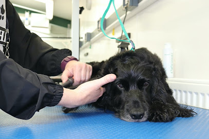 Countryside Paws Dog Grooming - Pet Shop in Ipswich